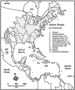 map of American eel range