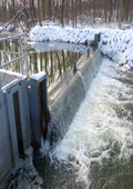 Trail Creek Barrier and Fish Ladder Trap