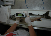 Fisheries Research